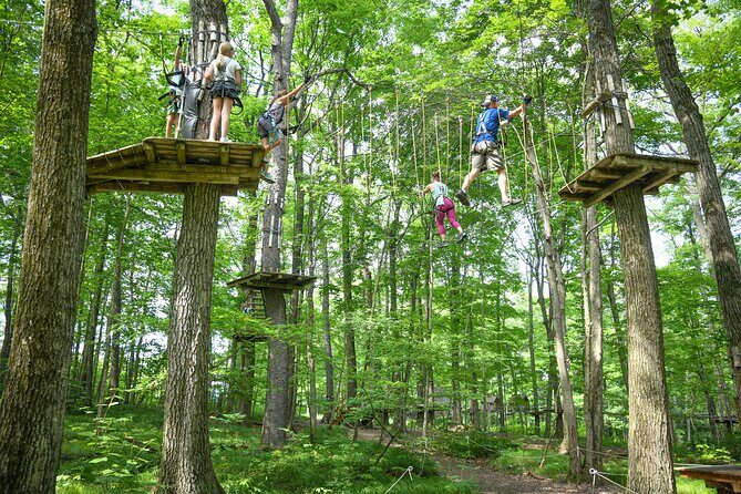 Aerial Adventure Park Admission - Why this Adventure Is Worth It