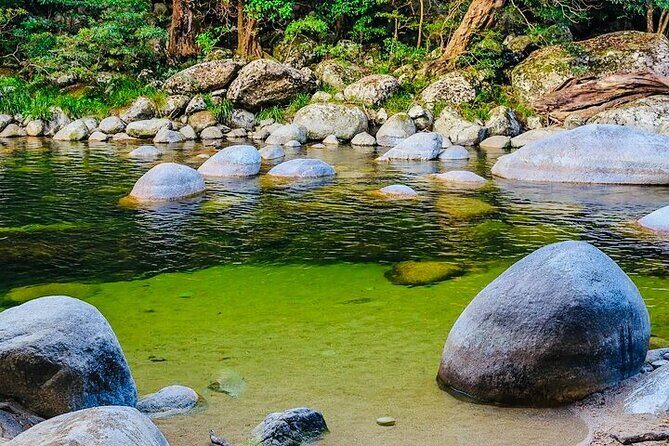 Affordable Return Mossman Gorge from Port Douglas Transfers - A Closer Look at the Port Douglas to Mossman Gorge Shuttle Experience