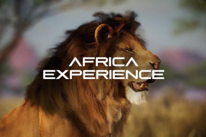 Africa Hologram Adventure at Zoocade - A Closer Look at the Itinerary and Experience
