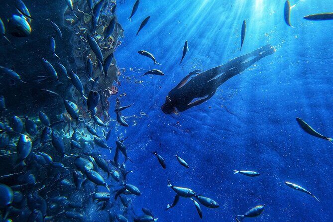 Afrikat Morning Cruise - A Deep Dive into the Afrikat Morning Cruise Experience