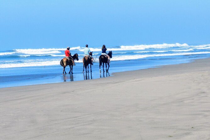 Afro-Mex Village Experience -Horseback Ride -Turtle Hatch & Crocs - Final Thoughts: Is This Tour for You?