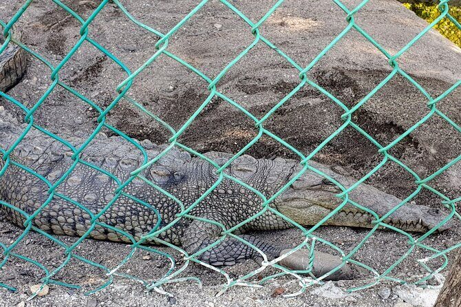Afro-Mexican Village: Horseback Beach Ride, Crocs & Cliff Diver - FAQ