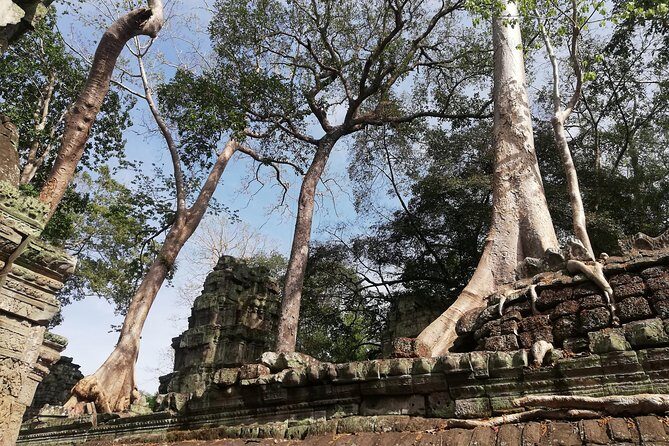 Afternoon Angkor Wat Private Tour with Sunset - The Sum Up: Who Is This Tour Best For?