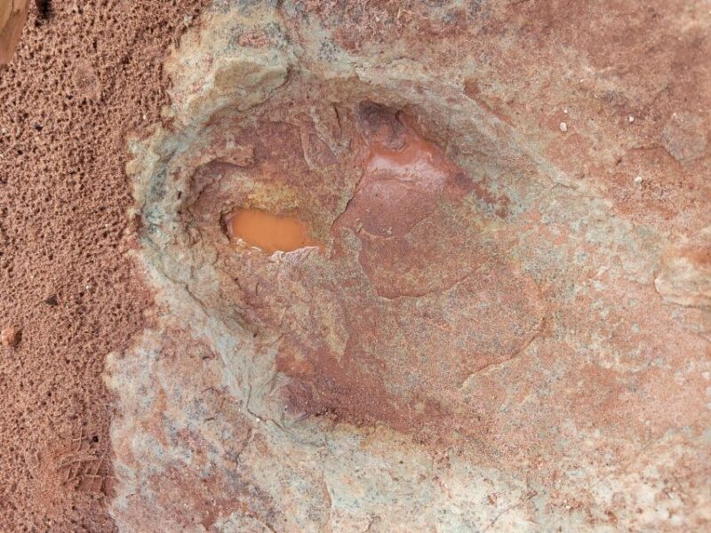Afternoon Arches National Park 4x4 Tour - Who Will Love This Tour?