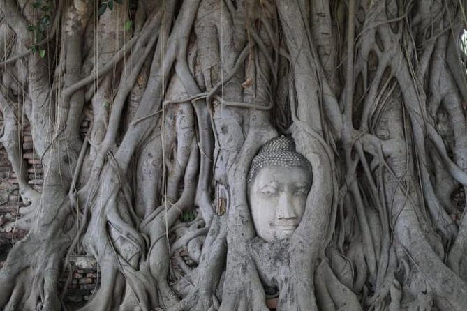 Afternoon Ayutthaya & Ancient Temples at UNESCO site By Road - Final Thoughts: Is This Tour Worth It?