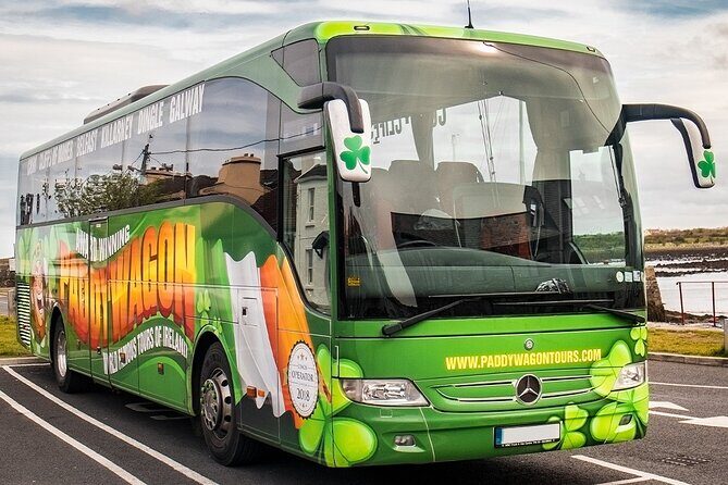 Afternoon Blarney Castle and Cobh Half Day Tour from Cork - Authenticity and Experience Value