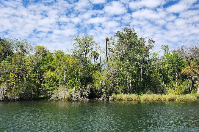 Afternoon Crystal River Ecological Boat Tour - Who Would Benefit Most from This Tour?