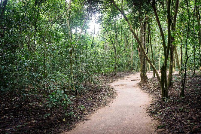 Afternoon Cu Chi Tunnels - Small Group Half-Day Tour - A Detailed Look at the Cu Chi Tunnels Tour