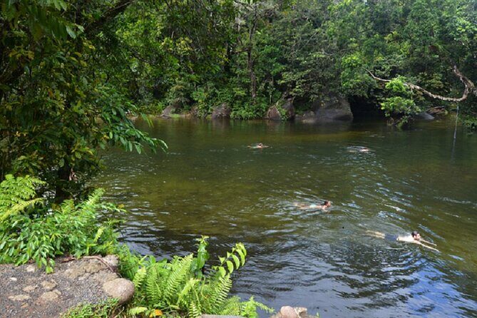 Afternoon & Evening Tour of Paronella Park - The Sum Up
