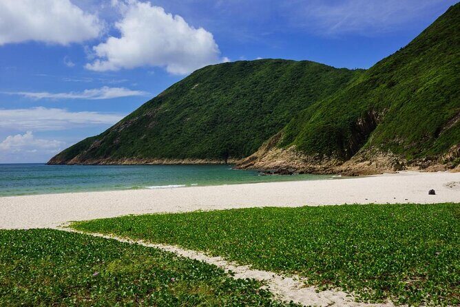 Afternoon Hiking Tour Sharp Island Geopark - Why This Tour Offers Good Value