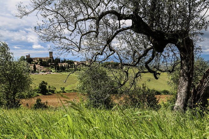 Afternoon in Siena and Chianti Wine Tour with Dinner from Florence - FAQs