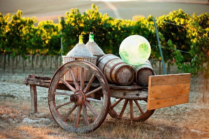 Afternoon in Siena and Chianti Wine Tour with Dinner from Florence - Who Should Consider This Tour?