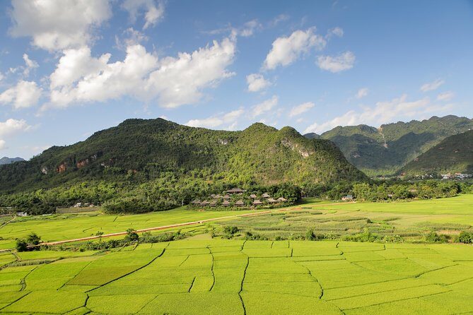 Afternoon Limousine Transfer Mai Chau to Hanoi 5 hours from Mai Chau - FAQ