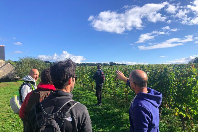 Afternoon Loire Valley Wine Tour from Tours or Amboise - Final Thoughts: Is This Tour Worth It?