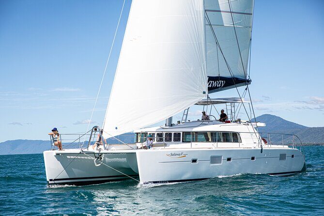 Afternoon Low Isles Snorkelling & Sunset Sail from Port Douglas - Final Recommendation