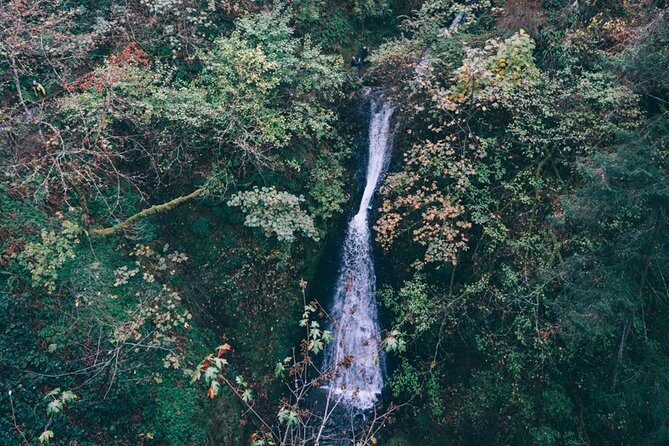 Afternoon Multnomah Falls and Gorge Waterfalls Tour - FAQ