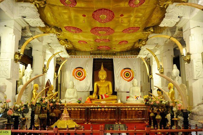 Afternoon Private Custom City Tour of Kandy - Value for Money and Practical Tips