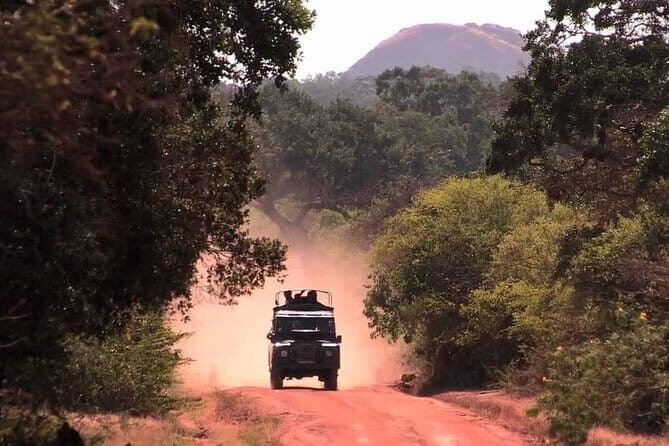 Afternoon Safari to Maduru Oya National Park - Final Thoughts