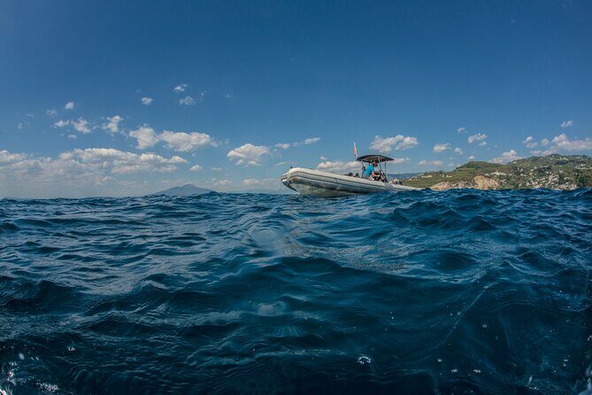 Afternoon snorkelling guided by a marine biologist in Sorrento - The Snorkeling Locations