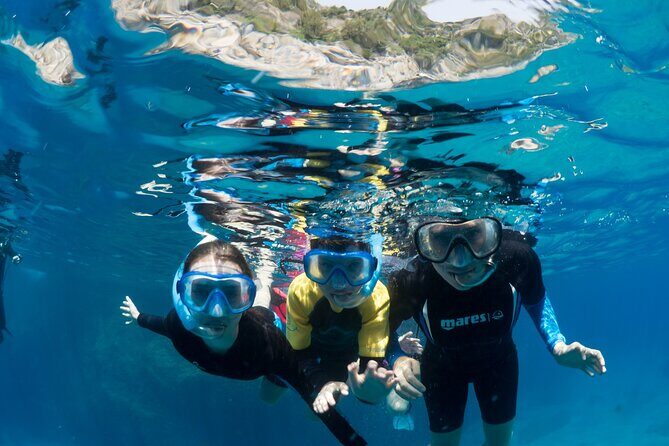 Afternoon snorkelling guided by a marine biologist in Sorrento - Duration and Pacing
