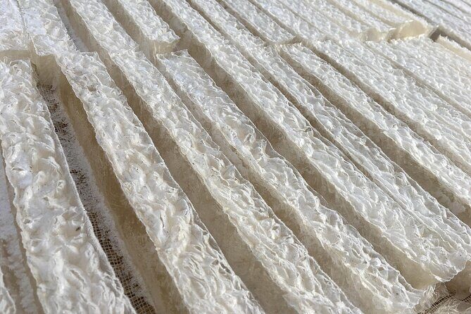 Agar Factory Tour and Tasting Experience at Chino City - Who Should Consider This Tour?
