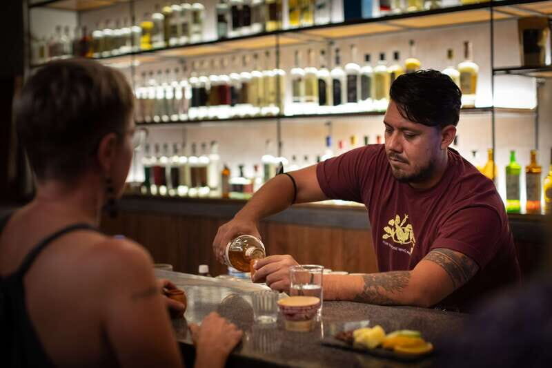 Agave Spirits Experience - Key Points