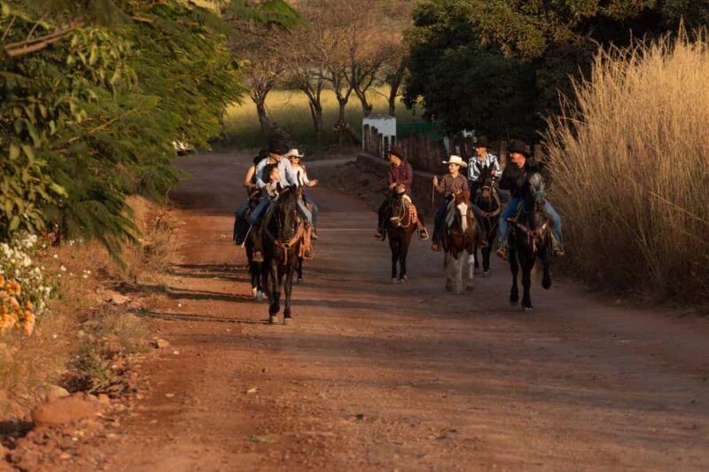 Agaves and Tequila Horseback Ride in El Arenal Jalisco - Practical Tips for Your Ride