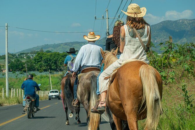 Agaves and Tequila Horseback Ride in El Arenal Jalisco - Who Will Love This Tour?