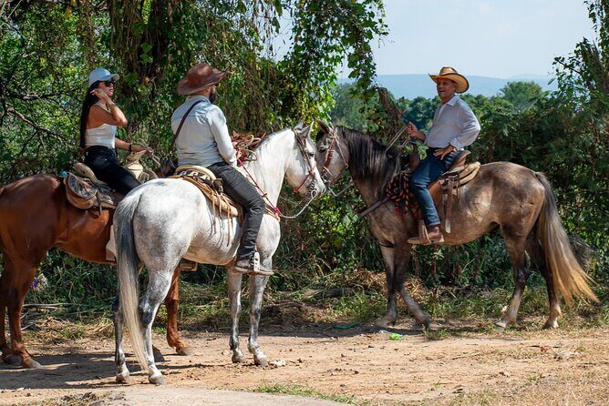 Agaves and Tequila Horseback Ride in El Arenal Jalisco - The Sum Up