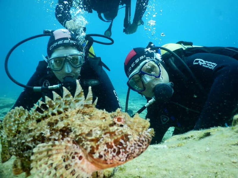 Agia Pelagia: Introduction to Scuba Diving Experience - What Makes This Scuba Intro Special?