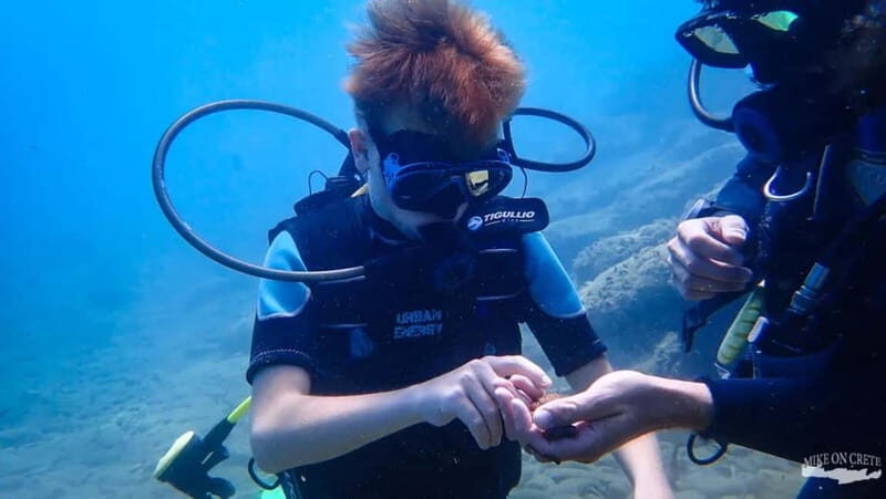 Agia Pelagia: Scuba Diving Activity for Children - What Makes This Experience Special?