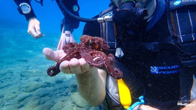 Agia Pelagia: Scuba Diving Activity for Children - What You Should Know Before Booking