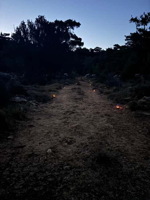 Agios Nikolaos: Evening Forest Yoga and Hiking Experience - Key Points