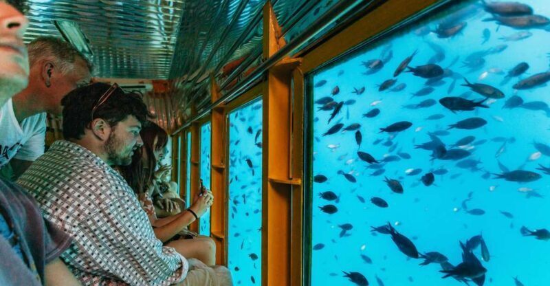 Agios Nikolaos: Semi-Submarine Cruise - An In-Depth Look at the Semi-Submarine Experience