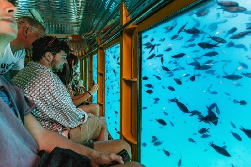 Agios Nikolaos: Semi-Submarine Cruise - Who Will Enjoy This Tour Most?