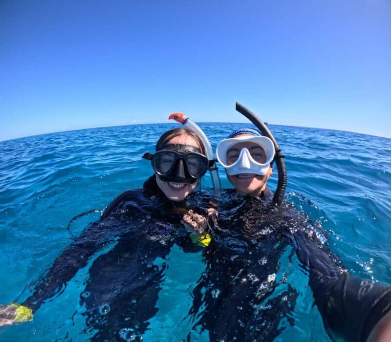 Agnes/1770: Southern Great Barrier Reef Snorkelling Day Trip - The Marine Life Encounters