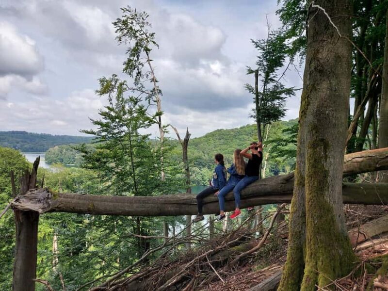 agów: Horseback Riding in agów Landscape Park - Who Would Love This Experience?