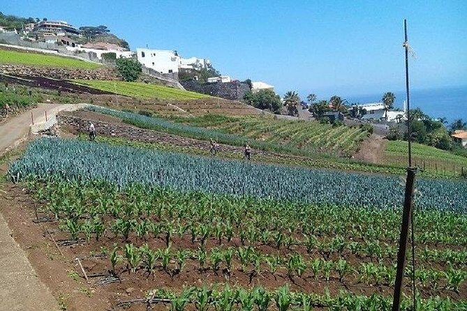 Agriculture Green Tour - Key Points