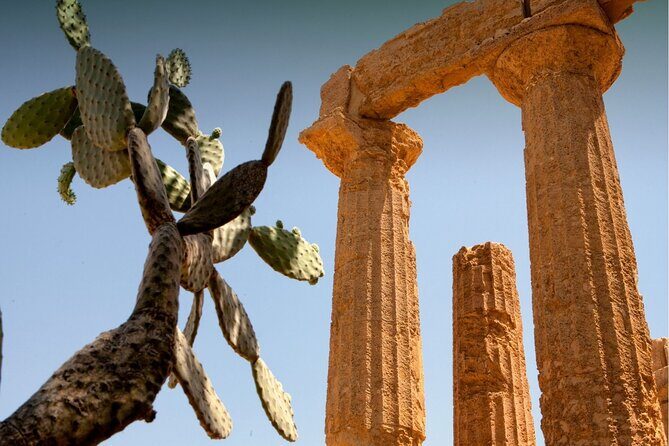 Agrigento to Siracusa with Valley of Temples and Roman Villa Trip - Final Thoughts: Who Will Love This Tour?