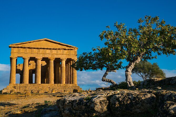 Agrigento Valley of the Temples Private Archeological Guided Tour - Final Thoughts: Who Should Book This Tour?