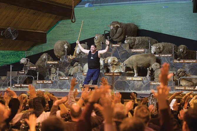 Agrodome Farm Experience including Farm Show and Farm Tour - Rotorua - Key Points