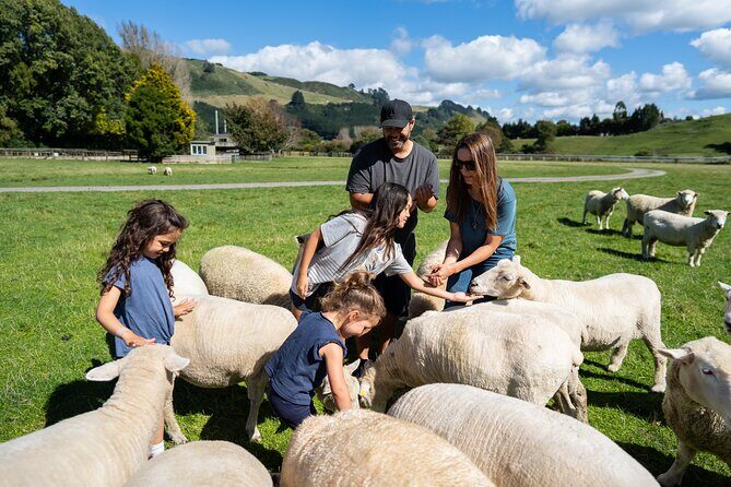 Agrodome Farm Experience including Farm Show and Farm Tour - Rotorua - Detailed Review of the Experience