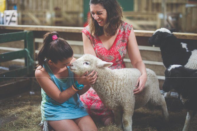 Agrodome Farm Experience including Farm Show and Farm Tour - Rotorua - Analyzing the Value