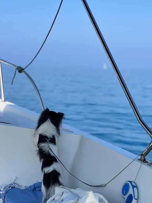 Agropoli: sunset boat tour with aperitif - Key Points