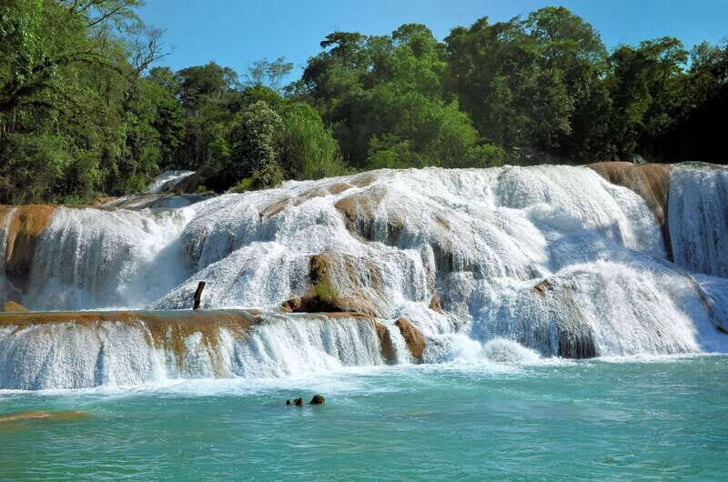 Agua Azul, Misol-Ha & Palenque Ruins from San Cristobal - Introduction to the Tour Experience