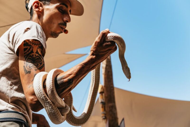 Agüimes: Cocodrilo Park Zoo Entry Ticket - What to Expect When Visiting Cocodrilo Park