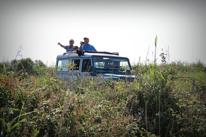 Aigues Mortes: 4x4 photo safari in the Camargue - The Vehicle and Comfort