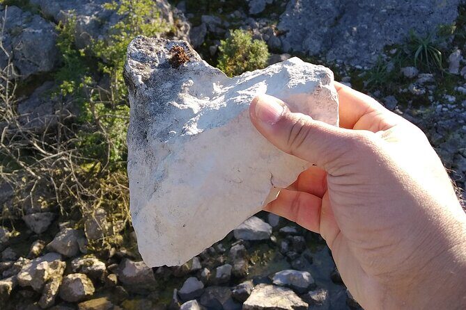 Aire & Candeeiros: Nature, Fossils and Forgotten Traditions - Discovering the Natural Park of the Aire and Candeeiros