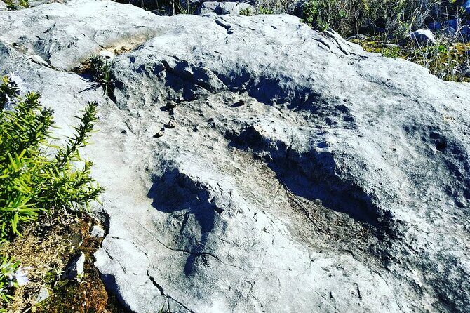 Aire & Candeeiros: Nature, Fossils and Forgotten Traditions - Pricing and Value