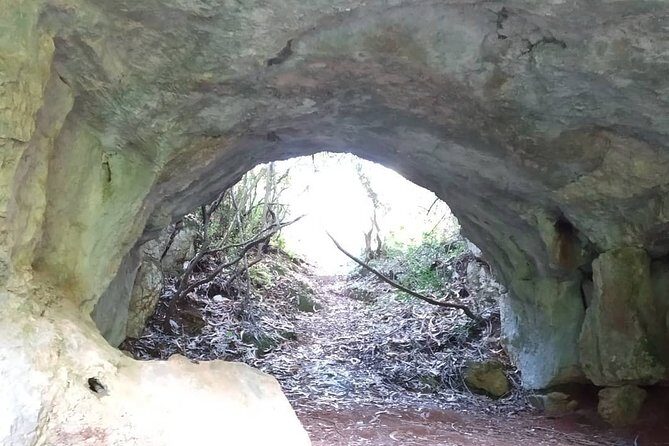 Aire & Candeeiros: Nature, Fossils and Forgotten Traditions - The Sum Up